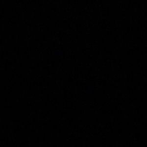 Meet your Posher, Brooklyn